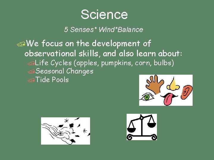 Science 5 Senses* Wind*Balance /We focus on the development of observational skills, and also