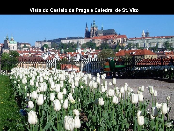 Vista do Castelo de Praga e Catedral de St. Vito 