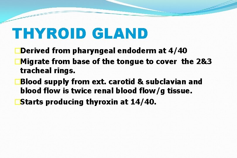 THYROID GLAND �Derived from pharyngeal endoderm at 4/40 �Migrate from base of the tongue