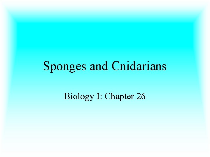 Sponges and Cnidarians Biology I: Chapter 26 