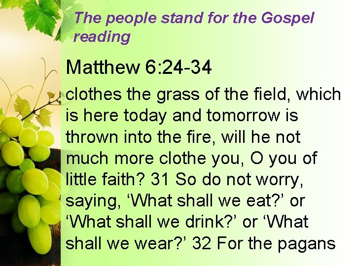 The people stand for the Gospel reading Matthew 6: 24 -34 clothes the grass