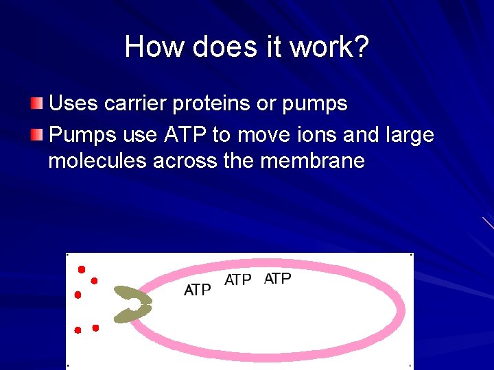 How does it work? Uses carrier proteins or pumps Pumps use ATP to move