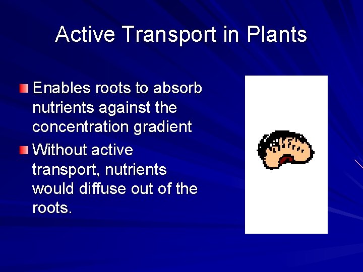 Active Transport in Plants Enables roots to absorb nutrients against the concentration gradient Without