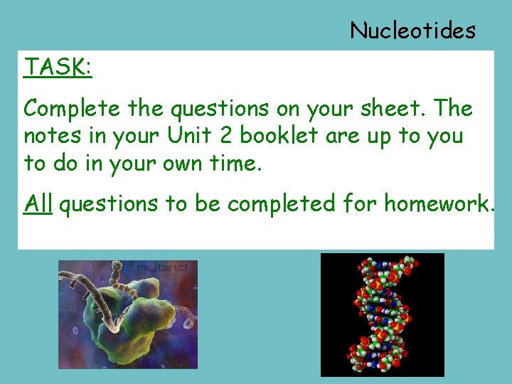 Nucleotides TASK: Complete the questions on your sheet. The notes in your Unit 2