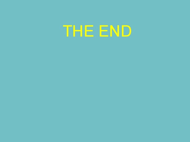 THE END 