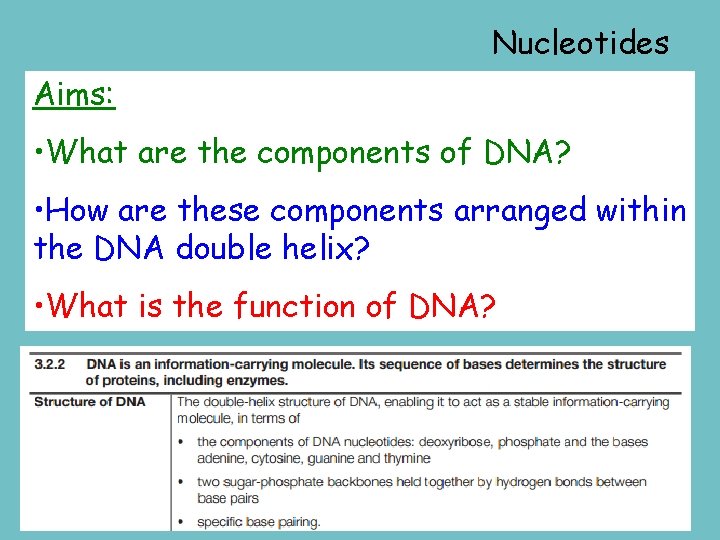 Nucleotides Aims: • What are the components of DNA? • How are these components
