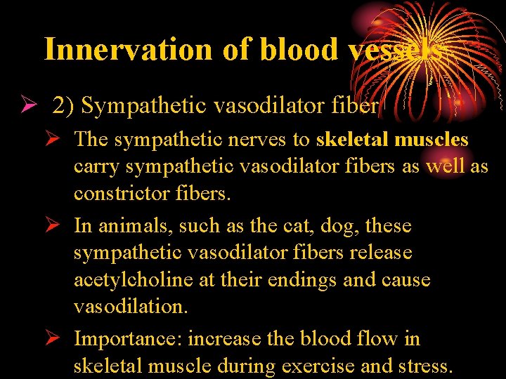 Innervation of blood vessels Ø 2) Sympathetic vasodilator fiber Ø The sympathetic nerves to