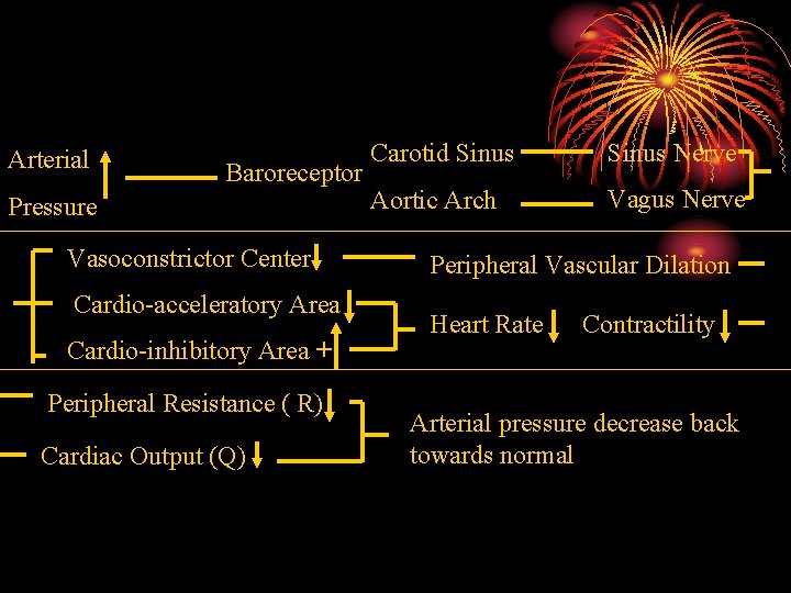 Arterial Baroreceptor Pressure Vasoconstrictor Center Cardio-acceleratory Area Cardio-inhibitory Area + Peripheral Resistance ( R)