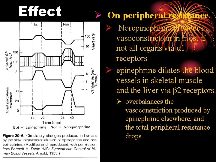 Effect Ø On peripheral resistance. Ø Norepinephrine produces vasoconstriction in most if not all