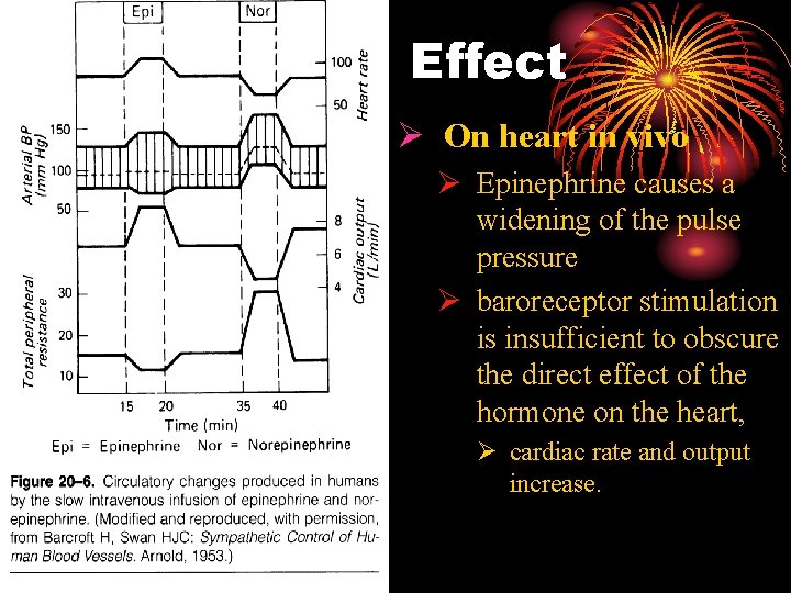 Effect Ø On heart in vivo Ø Epinephrine causes a widening of the pulse