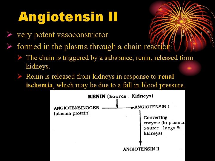 Angiotensin II Ø very potent vasoconstrictor Ø formed in the plasma through a chain