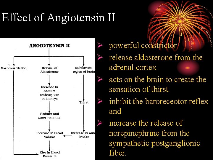 Effect of Angiotensin II Ø powerful constrictor Ø release aldosterone from the adrenal cortex