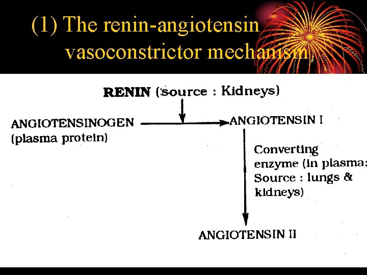(1) The renin-angiotensin vasoconstrictor mechanism 