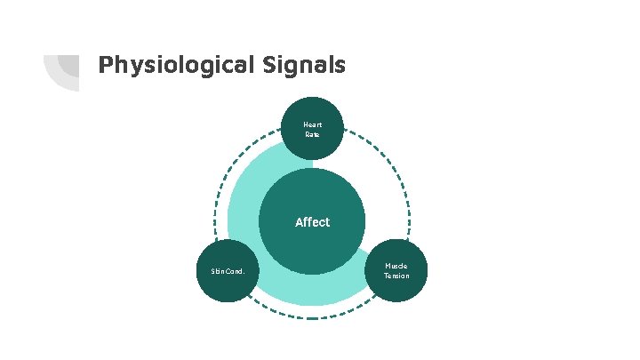 Physiological Signals Heart Rate Affect Skin Cond. Muscle Tension 