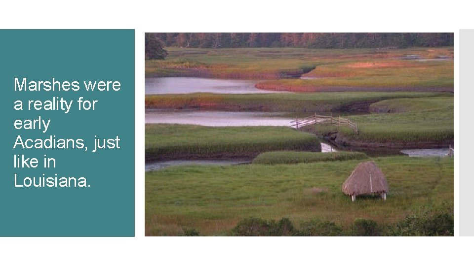 Marshes were a reality for early Acadians, just like in Louisiana. 