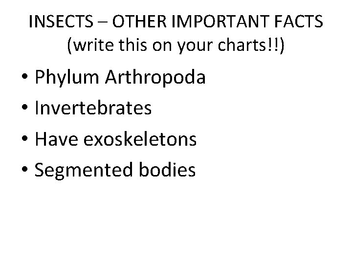 INSECTS – OTHER IMPORTANT FACTS (write this on your charts!!) • Phylum Arthropoda •