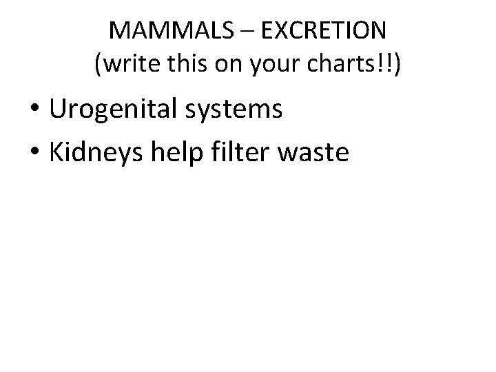 MAMMALS – EXCRETION (write this on your charts!!) • Urogenital systems • Kidneys help
