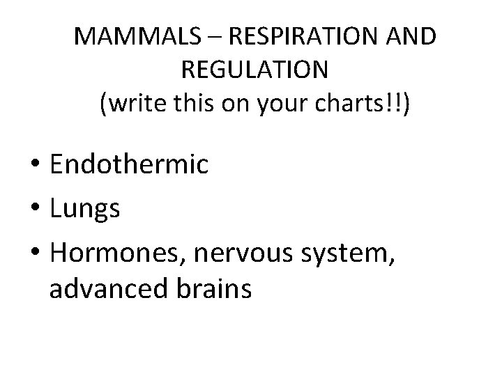 MAMMALS – RESPIRATION AND REGULATION (write this on your charts!!) • Endothermic • Lungs