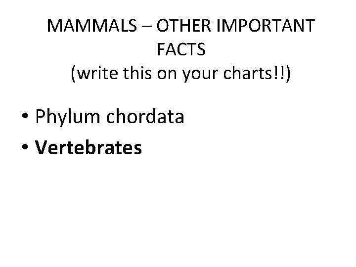 MAMMALS – OTHER IMPORTANT FACTS (write this on your charts!!) • Phylum chordata •
