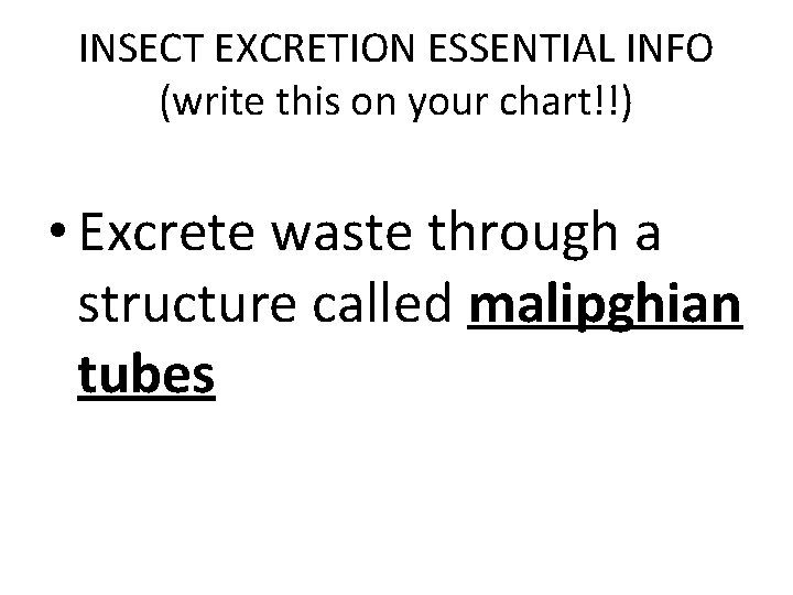 INSECT EXCRETION ESSENTIAL INFO (write this on your chart!!) • Excrete waste through a