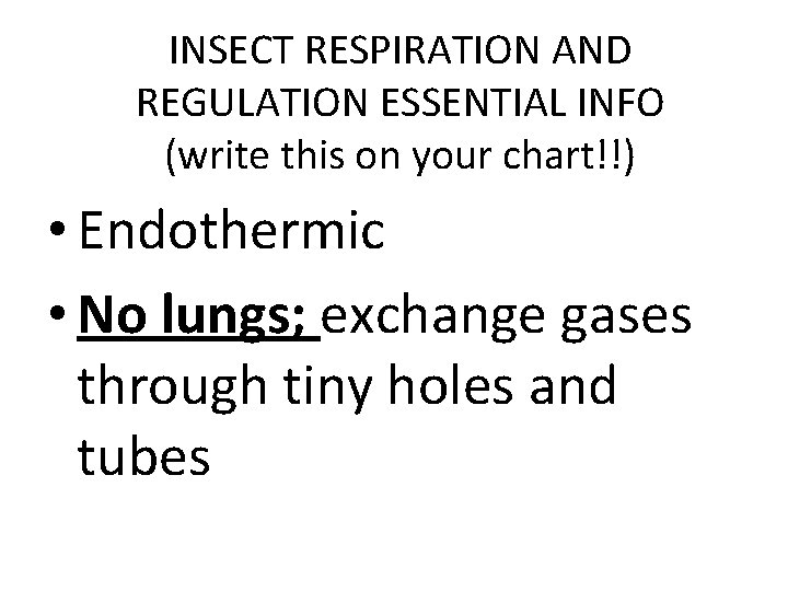 INSECT RESPIRATION AND REGULATION ESSENTIAL INFO (write this on your chart!!) • Endothermic •