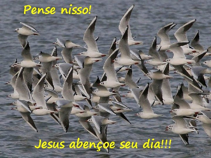 Pense nisso! Jesus abençoe seu dia!!! 