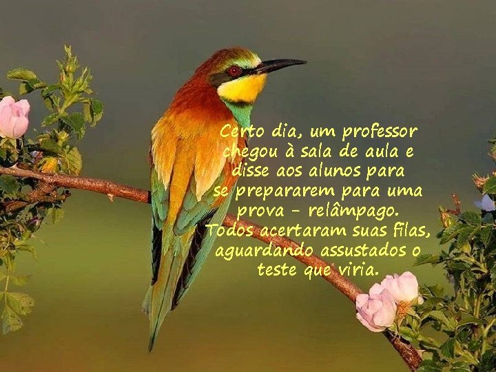 Certo dia, um professor chegou à sala de aula e disse aos alunos para