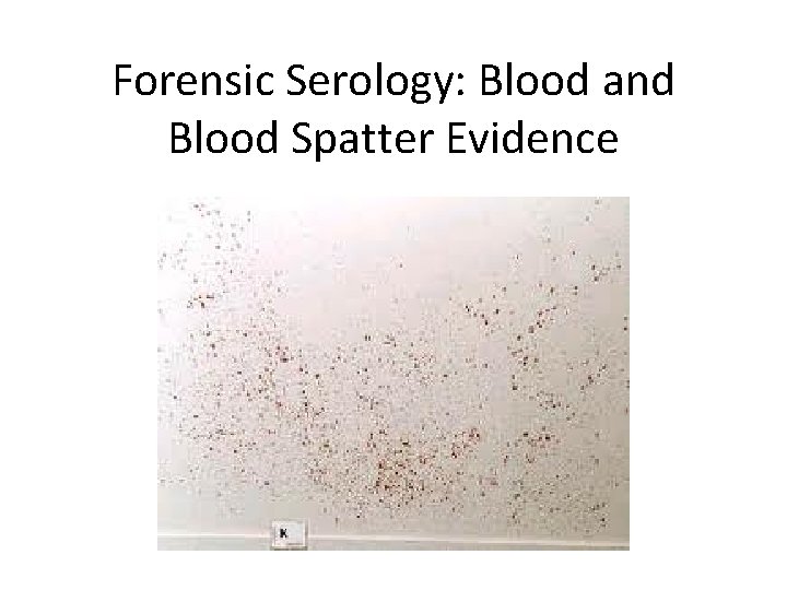 Forensic Serology: Blood and Blood Spatter Evidence 
