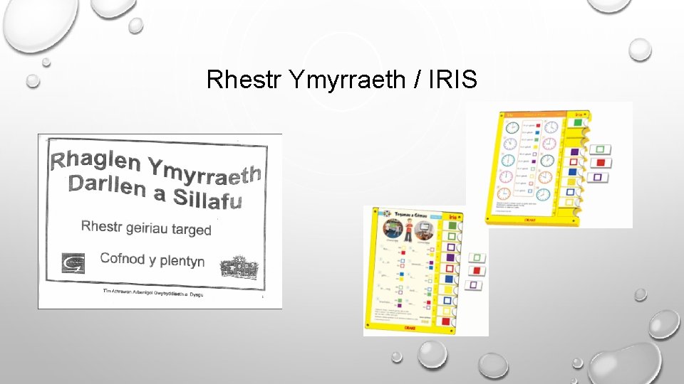 Rhestr Ymyrraeth / IRIS 