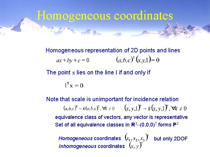 Homogeneous coordinates Homogeneous representation of 2 D points and lines The point x lies