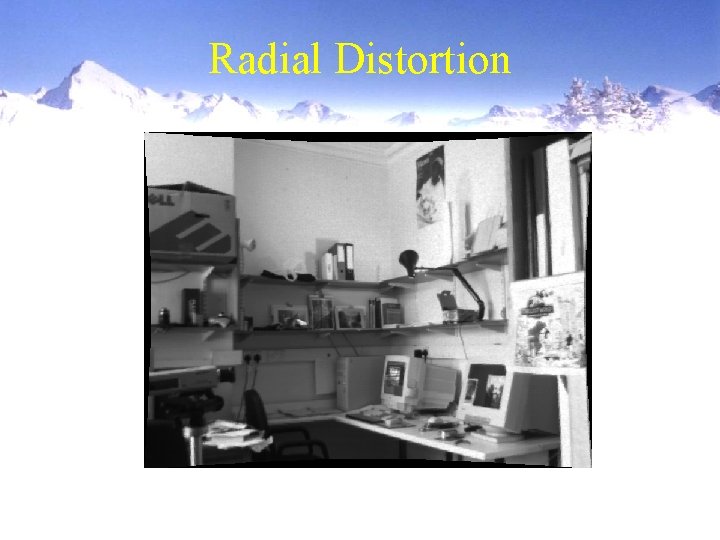 Radial Distortion 
