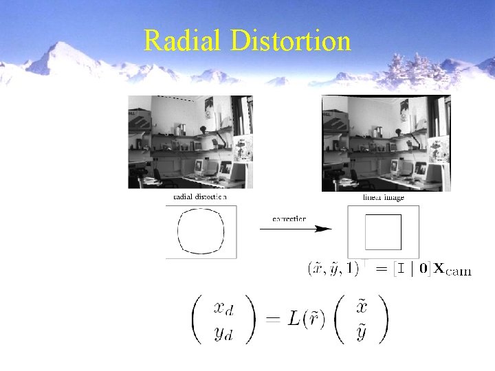 Radial Distortion 