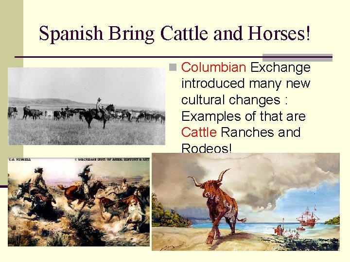 Spanish Bring Cattle and Horses! n Columbian Exchange introduced many new cultural changes :