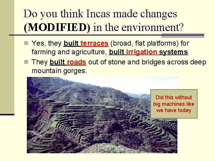 Do you think Incas made changes (MODIFIED) in the environment? n Yes, they built