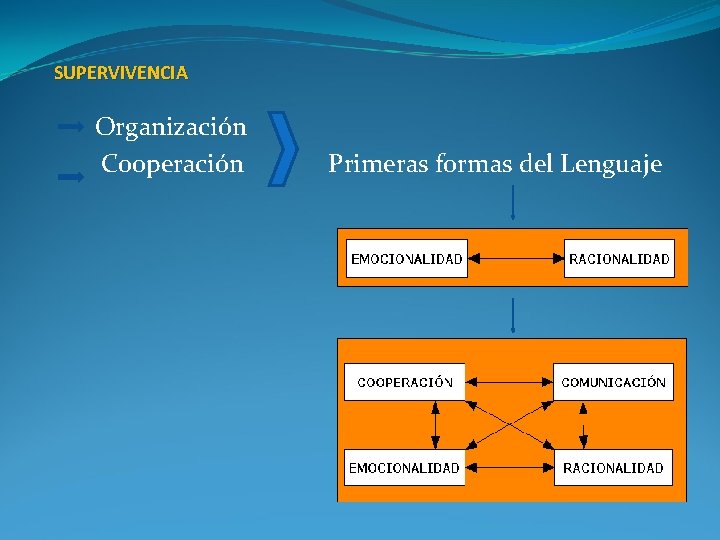 SUPERVIVENCIA Organización Cooperación Primeras formas del Lenguaje 