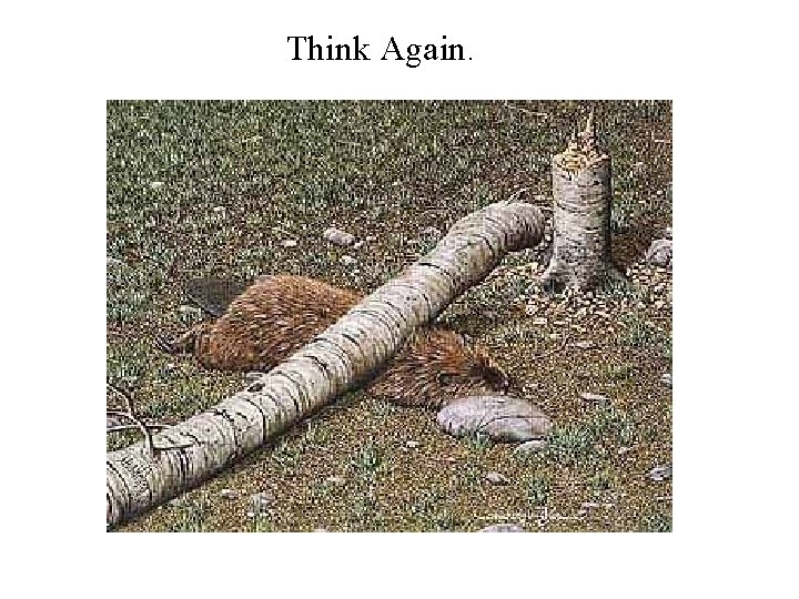 Think Again. 