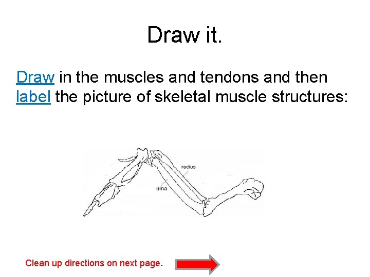 Draw it. Draw in the muscles and tendons and then label the picture of