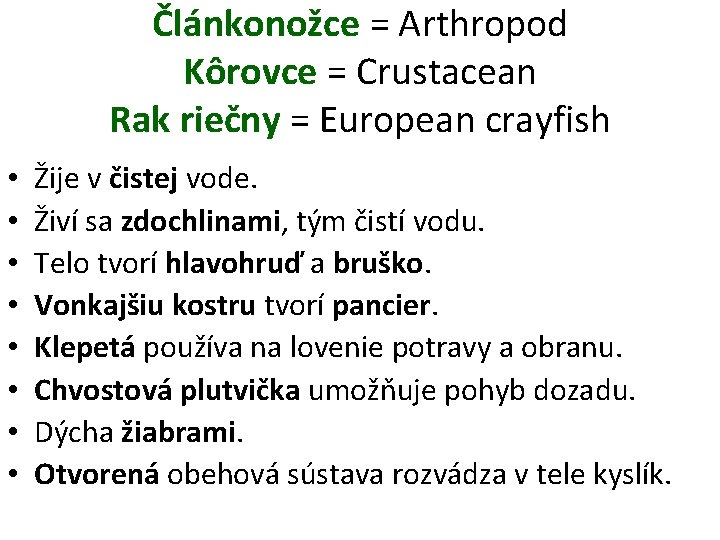Článkonožce = Arthropod Kôrovce = Crustacean Rak riečny = European crayfish • • Žije