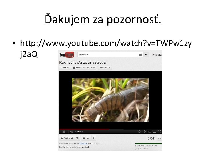 Ďakujem za pozornosť. • http: //www. youtube. com/watch? v=TWPw 1 zy j 2 a.