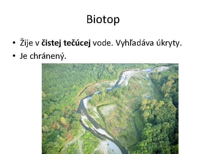 Biotop • Žije v čistej tečúcej vode. Vyhľadáva úkryty. • Je chránený. 