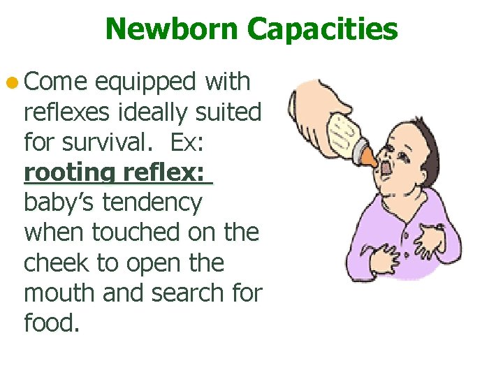 Newborn Capacities l Come equipped with reflexes ideally suited for survival. Ex: rooting reflex: