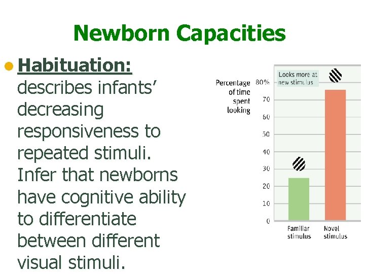 Newborn Capacities l Habituation: describes infants’ decreasing responsiveness to repeated stimuli. Infer that newborns