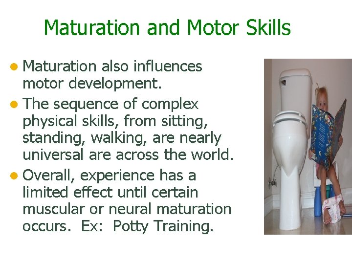 Maturation and Motor Skills l Maturation also influences motor development. l The sequence of