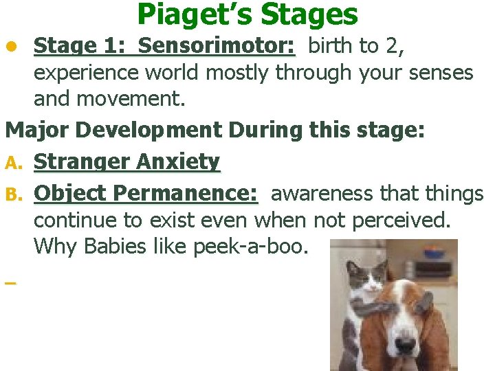 Piaget’s Stage 1: Sensorimotor: birth to 2, experience world mostly through your senses and