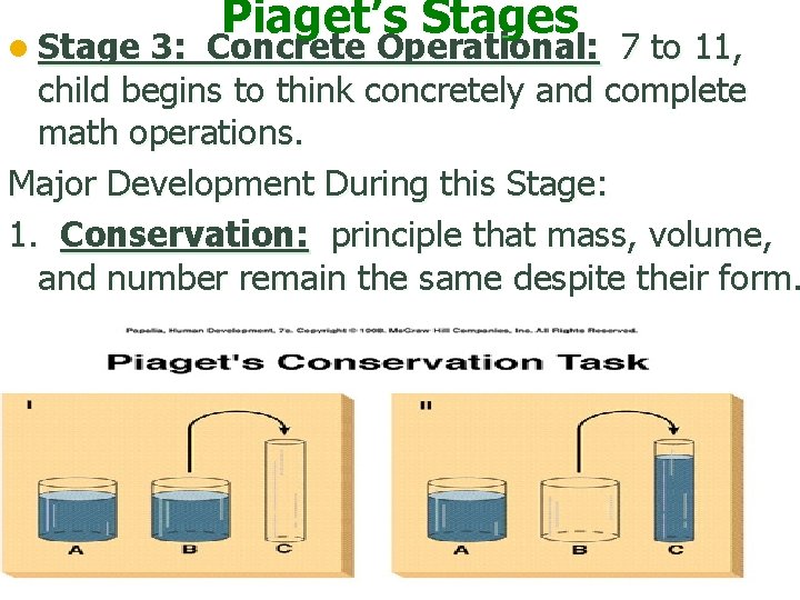 l Stage Piaget’s Stages 3: Concrete Operational: 7 to 11, child begins to think