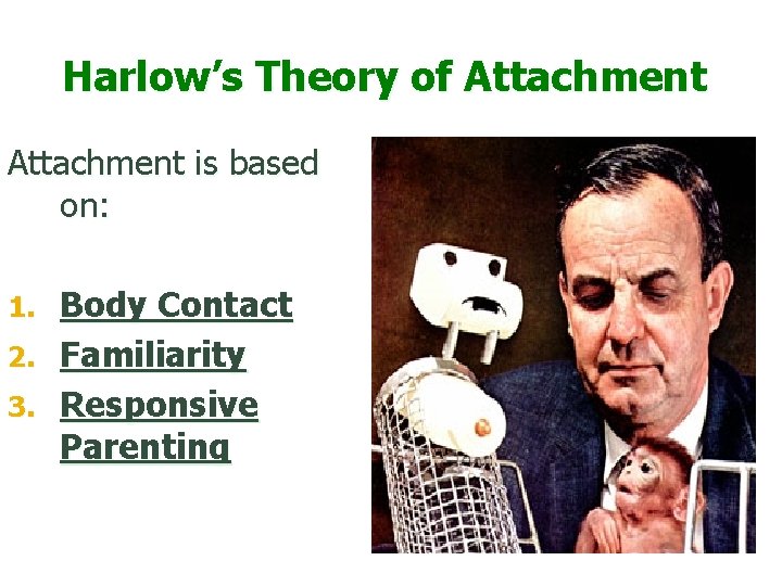 Harlow’s Theory of Attachment is based on: Body Contact 2. Familiarity 3. Responsive Parenting