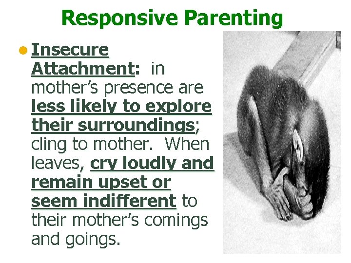 Responsive Parenting l Insecure Attachment: in mother’s presence are less likely to explore their