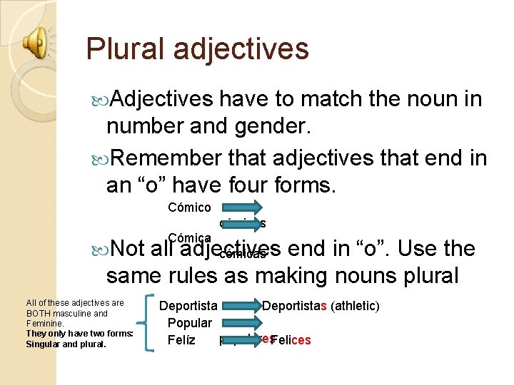 Plural adjectives Adjectives have to match the noun in number and gender. Remember that