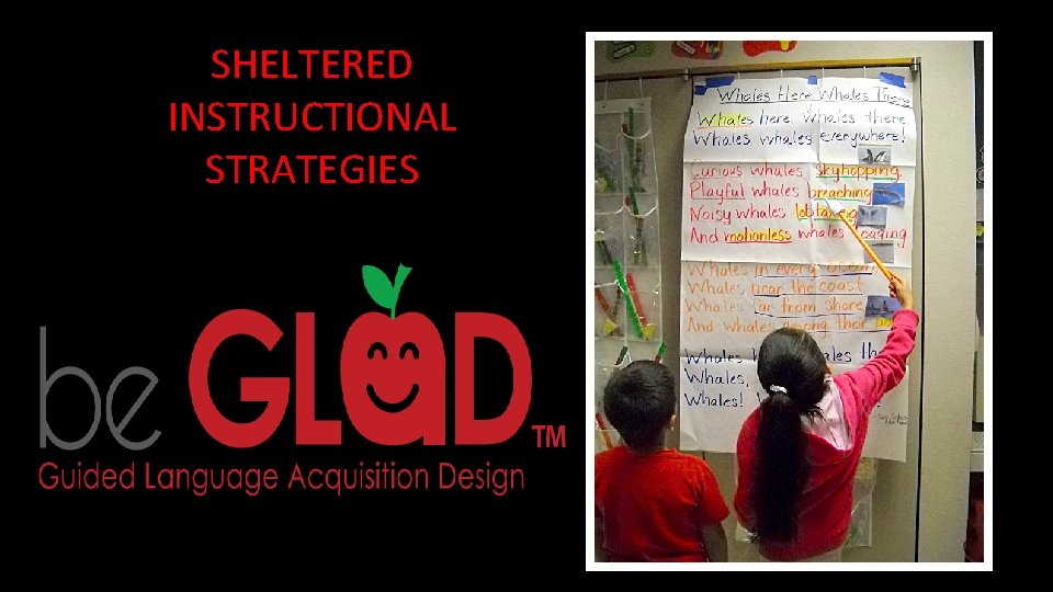 SHELTERED INSTRUCTIONAL STRATEGIES 