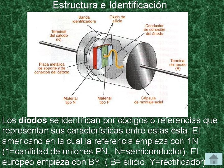 Estructura e Identificación Los diodos se identifican por códigos o referencias que representan sus